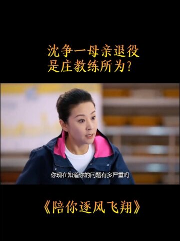 陪你逐风飞翔沈争一母亲退役是庄教练所为邵北笙感情受挫陪你逐风飞翔