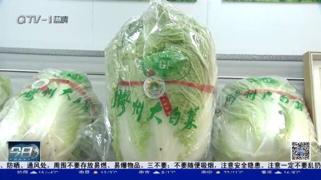 胶州大白菜协会直营店在市南区开业