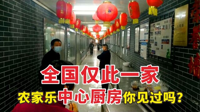 巨无霸农家乐,可同时接待1000人,中央厨房概念,你听说过吗?