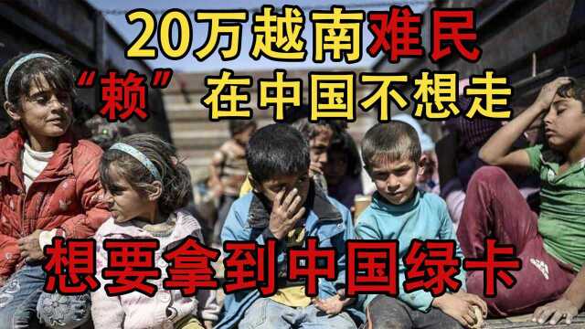 20万越南难民来到中国,如今“赖着”不走,还想要加入我国国籍