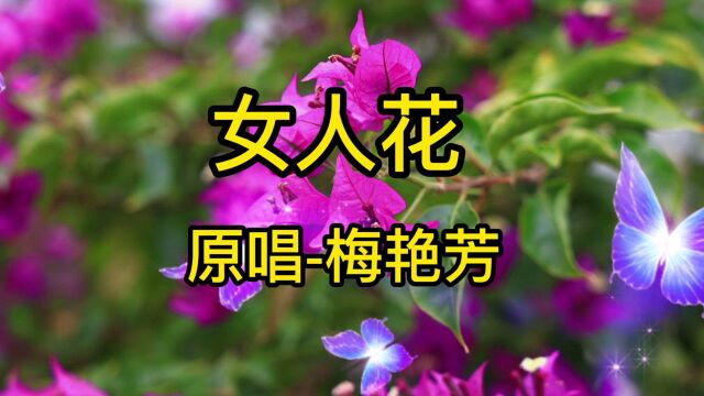 梅艳芳演唱的 怀旧经典老歌《女人花》