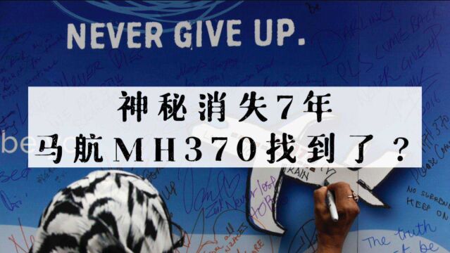 神秘消失7年 马航MH370找到了?