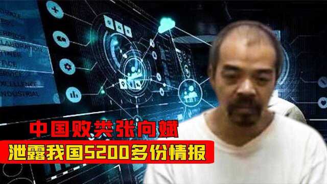 中国败类张向斌,甘当卖国贼,泄露5200多份情报,最终下场如何?