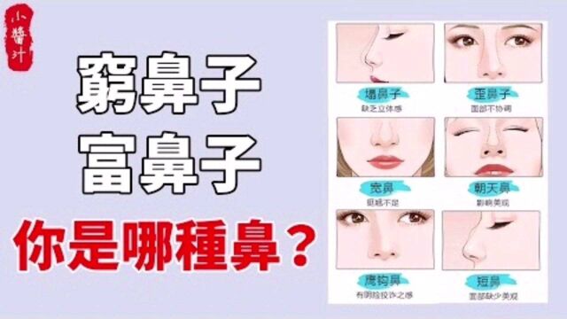 命理运势:一种鼻子一种命,看看你的鼻子,能不能发财?