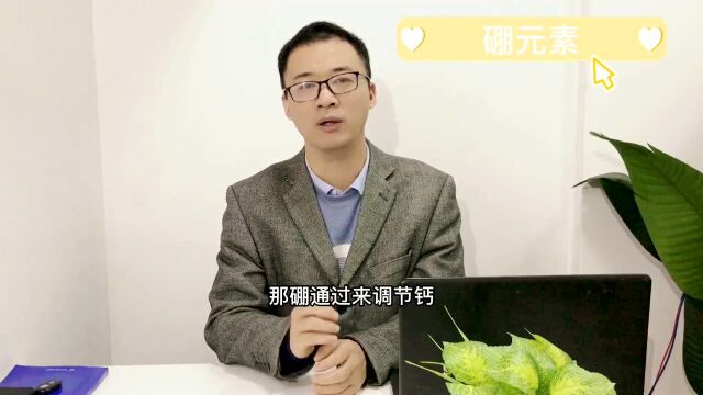 硼在细胞膜水平有某种调节功能:可能通过对第二信使——钙的作用#健康与营养#恒康倍力