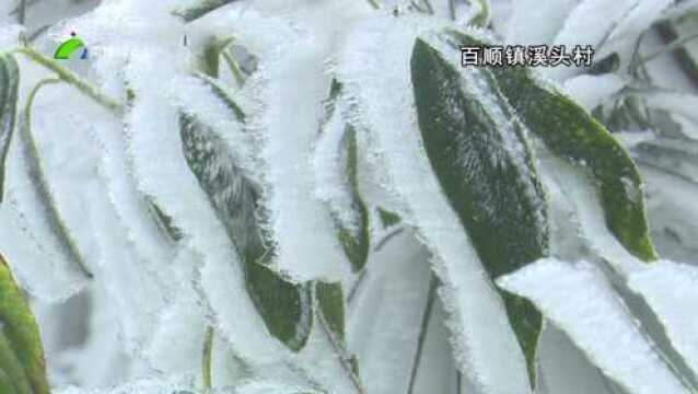 6、南雄雪景“大片”来了