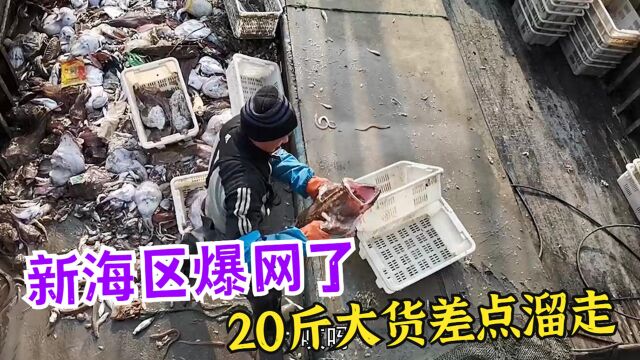 新海区连续爆网了!捡到20斤的深海丑怪,还意外收获一条漂亮鱼