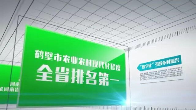 鹤壁农业农村现代化综合水平全省第一