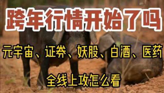 跨年行情开始了吗?元宇宙、证券、妖股、白酒、医药怎么看