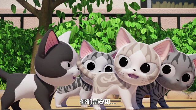 甜甜私房猫:快乐就是如此简单,一根普通的羽毛,能让猫咪玩一天