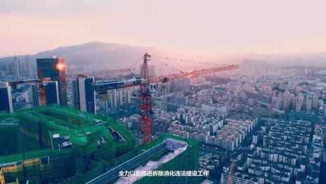 深圳市龙华区规划土地监察局林思荣:勇当奋战一线的查违尖兵