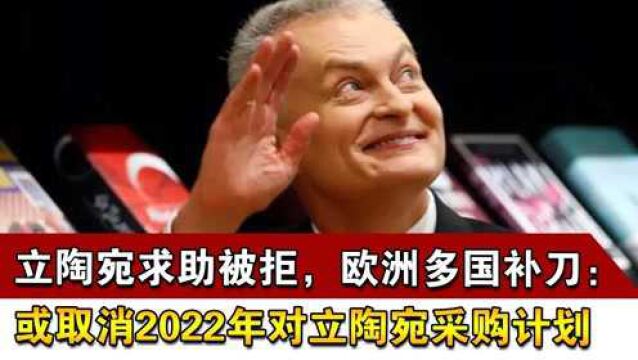 立陶宛求助被拒,欧洲多国补刀:或取消2022年对立陶宛采购计划