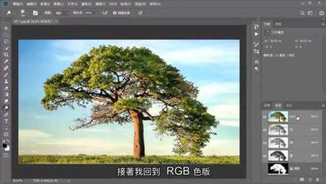 Photoshop 基础教学39:头发树叶等复杂图案怎么去背