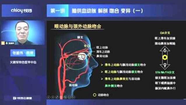 颈总动脉、颈内外动脉、眼动脉( 解剖 吻合 变异)