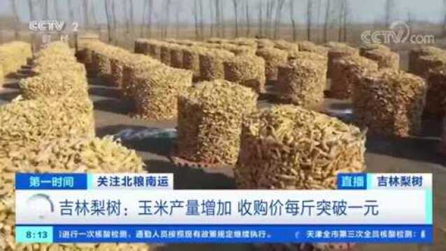 央视网丨吉林梨树:玉米产量增加 收购价每斤突破一元