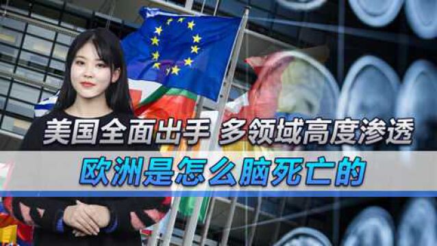 美国全面出手,多领域高度渗透,欧洲是怎么脑死亡的