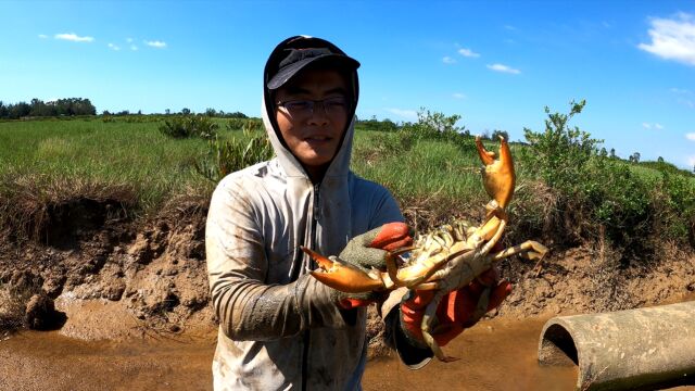 废弃养殖场捡漏有多爽?大螃蟹跟白捡似的,渔夫笑得合不拢嘴