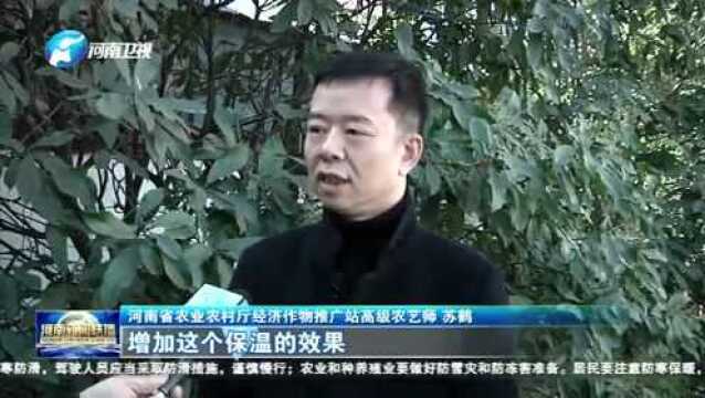 上级媒体看濮阳丨重点报道周周汇(1.17—1.23)