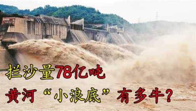 黄河小浪底工程到底有多牛拦沙量78亿吨,作用不输三峡大坝