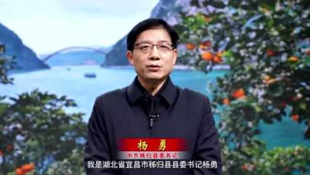 秭归县委书记杨勇网上贺新春