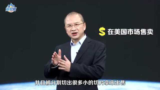 中国第一大铁陨石:新疆“银骆驼”