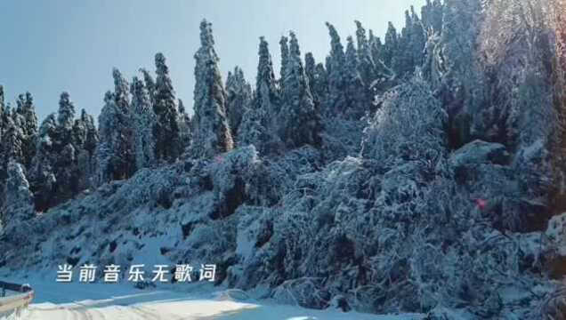 实拍望云山雪景,太美了!一生总要去看一次!