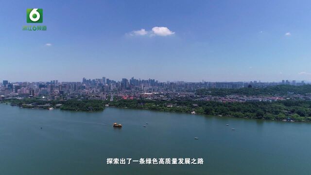 江山市林业局:坚定“两山”理念 高质量建设森林浙江