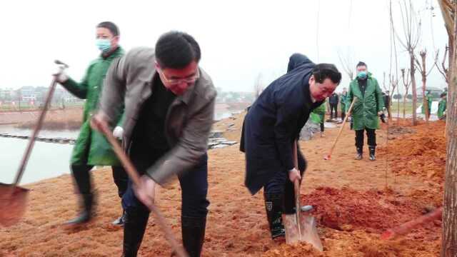 邹文辉来娄星区参加全民义务植树活动时强调 深入践行“两山”理论 