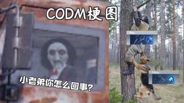 使命召唤手游:只有CODM玩家才懂的梗图第十四期