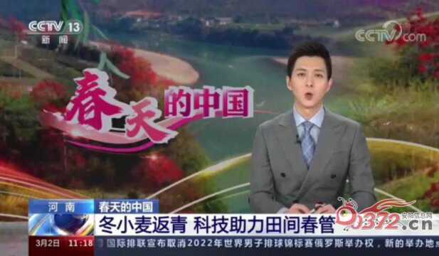 安阳一地登上央视直播