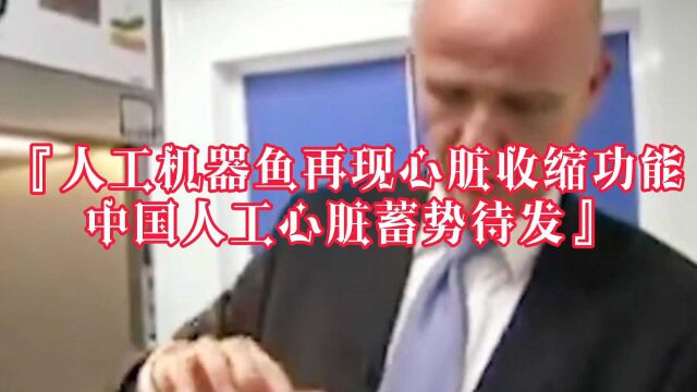 科技新成果:人工机器鱼再现心脏收缩功能,中国人工心脏蓄势待发!