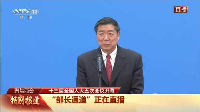 部长通道丨何立峰:今年将从重点领域发力 做好稳投资工作