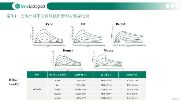 【讲座】免疫学检测之分子间亲和力测定技术分享