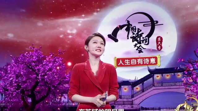 《中国诗词大会》16季教科书式开场白:诗词之美惊艳岁月!