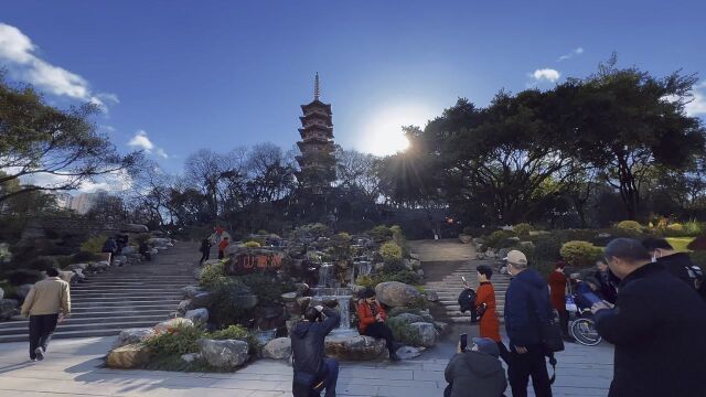 沐浴“芬芳”人与花共美