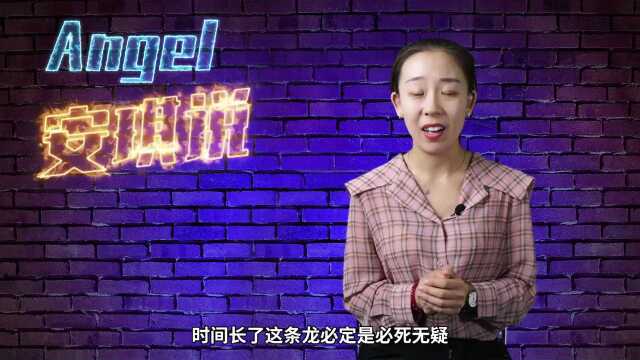 “龙”真的存在吗?登上报纸的营口坠龙事件