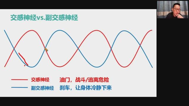 心理问题的大脑与神经生物学基础