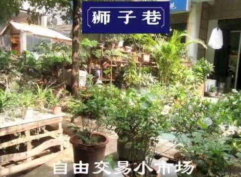 影像 | 舒城老城区影像集(2012年)