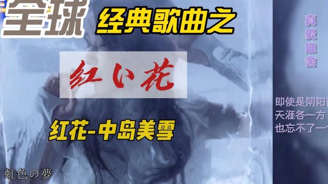 全球经典好歌之《红い花》中岛美雪,喜欢日文歌的熟悉吧