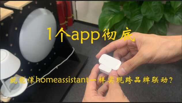 仅需一个app就能像homeassistant一样实现跨品牌联动?