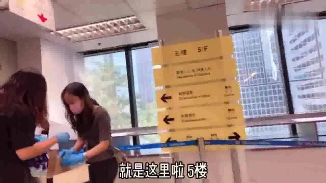 香港人的生活:内地人在香港证件过期怎么办,紫含承认自已应该被批评