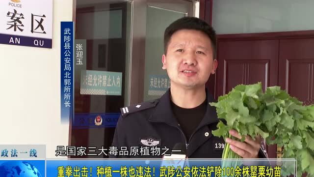 城事 | 动用警航队!焦作严厉打击这些“害人精”!沁阳、武陟已查处……