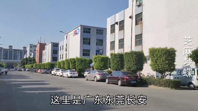 实拍东莞百事得电动工具厂,工资4500到5500元,在东莞这收入高吗