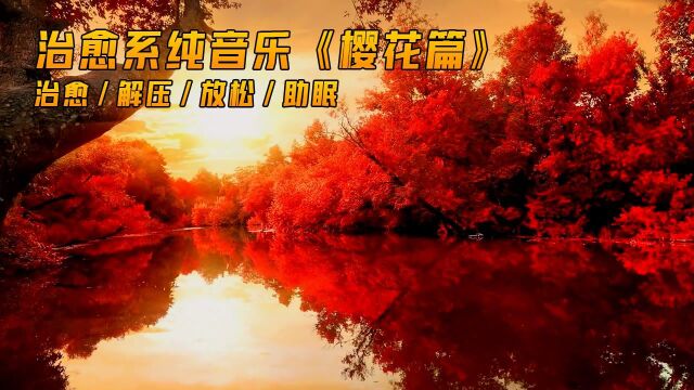 治愈系纯音乐《枫树篇3》(治愈/解压/放松/助眠)