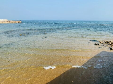 东临碣石,以观沧海.水何澹澹,山岛竦峙.