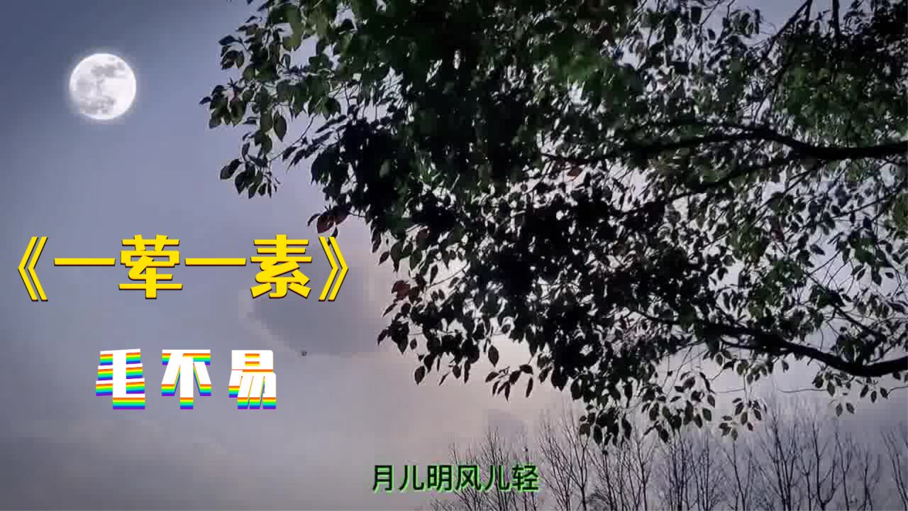毛不易追忆母亲的歌曲《一荤一素:感人至深!请珍惜您的亲人!