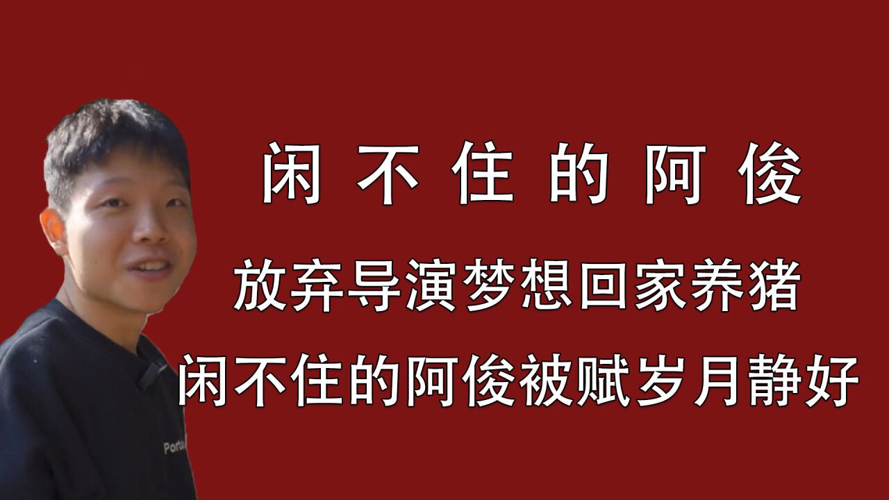 闲不住的阿俊:放弃导演梦想回家养猪,闲不住的阿俊被赋岁月静好