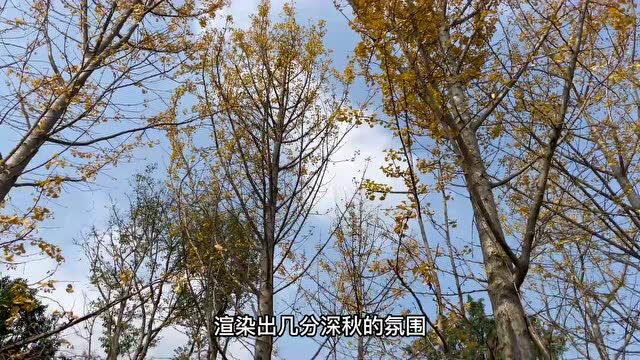 第十二届“艺享 ⷠ成理”招生宣传素材征集大赛获奖名单