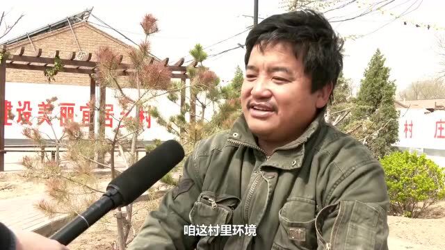 枣强县:农村人居环境整治再提升 让乡村增颜值添气质