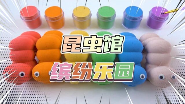 太空沙DIY,昆虫馆